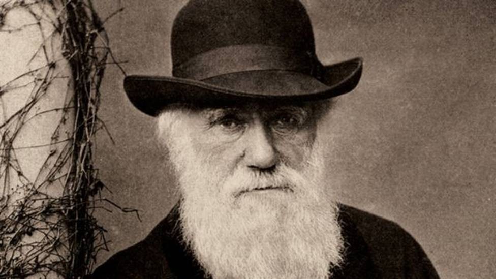 O lado botânico e pouco conhecido de Darwin