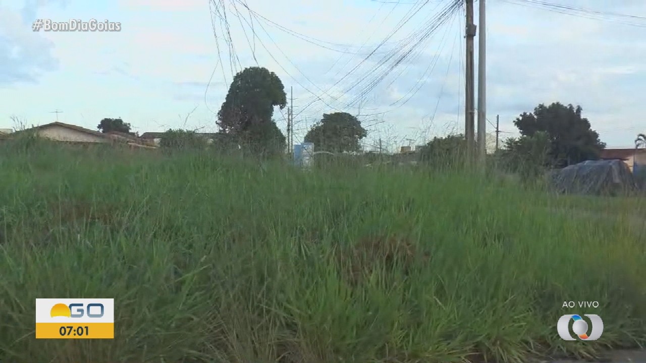 VÍDEOS: Bom dia Goiás de sexta-feira, 27 de fevereiro de 2026