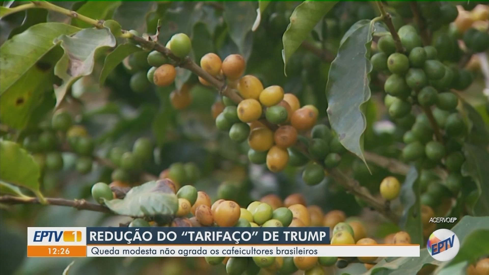 VÍDEOS: EPTV 1 Sul de Minas de segunda-feira, 17 de novembro de 2025