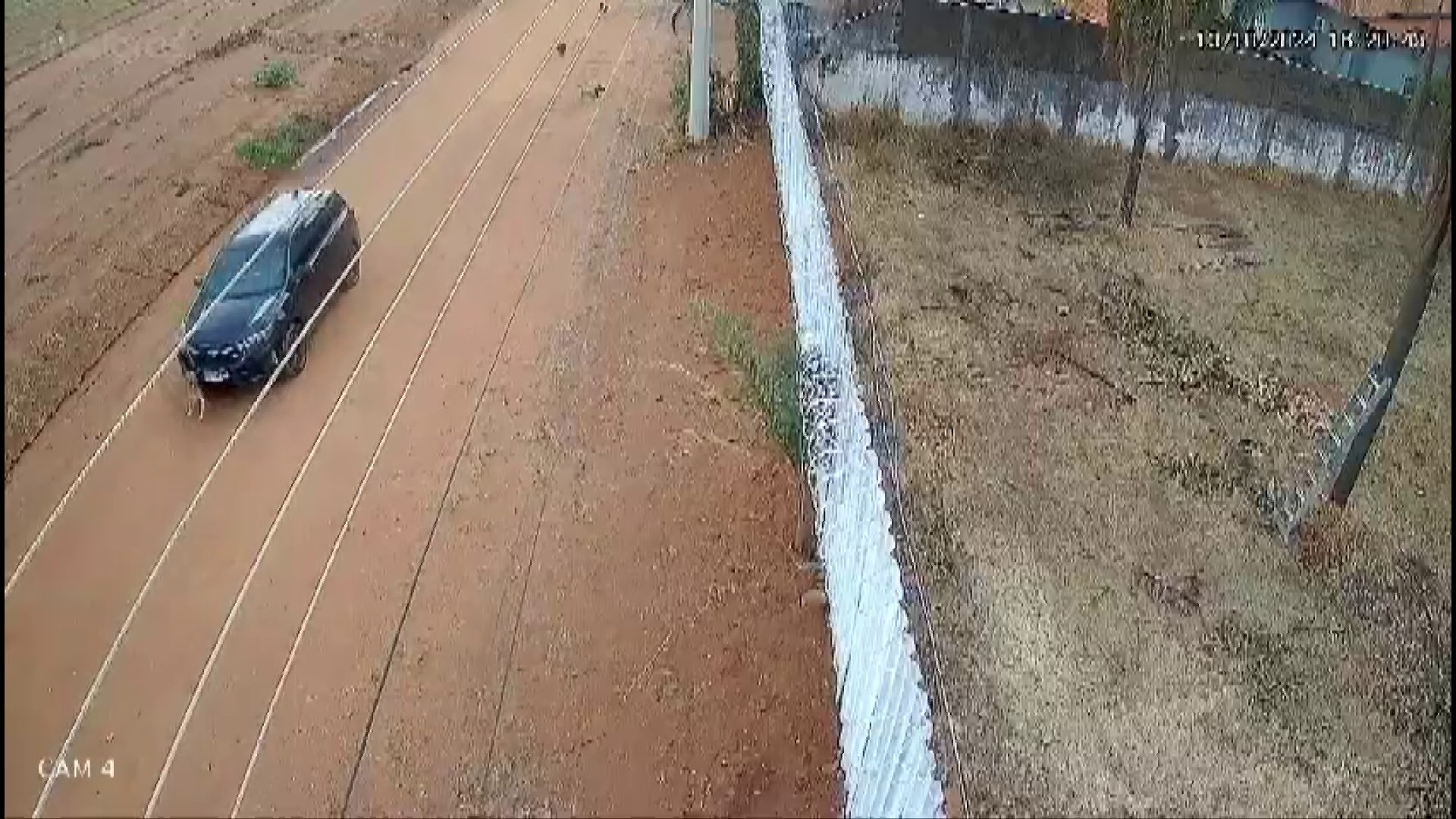 Motorista que matou cachorro atropelado em Franca, SP, diz à polícia que não viu animalon outubro 17, 2024 at 11:03 pm