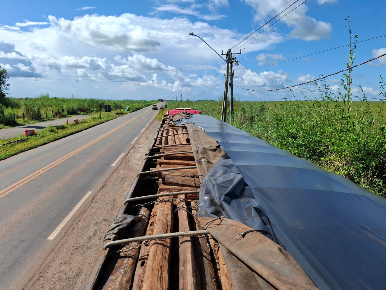 Caminhão carregado de toras com extração proibida por lei é apreendido no Pará 