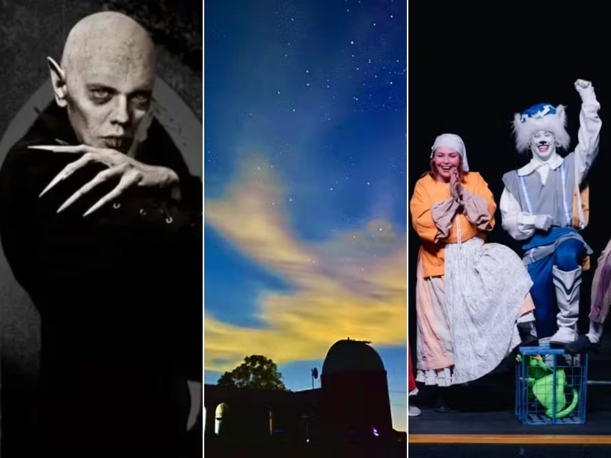 O que fazer em Campinas e região: agenda tem sessão gratuita de 'Nosferatu', noite de observação 
astronômica, teatro e mais