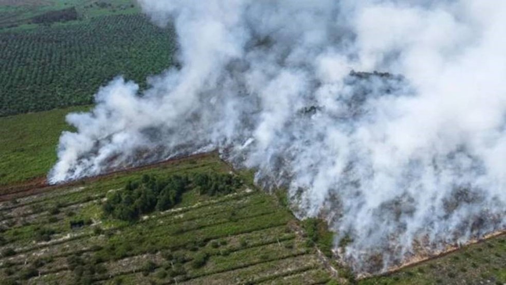 A Indonésia conseguiu diminuir o desmatamento — Foto: SULTAN IQBAL ABIYYU via BBC