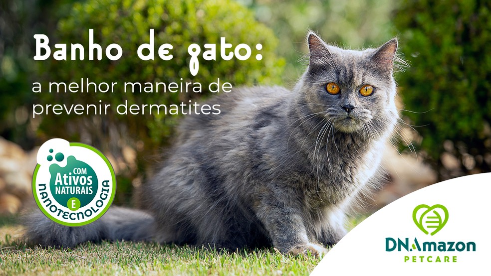 Cães e Gatos – Neurótico 2