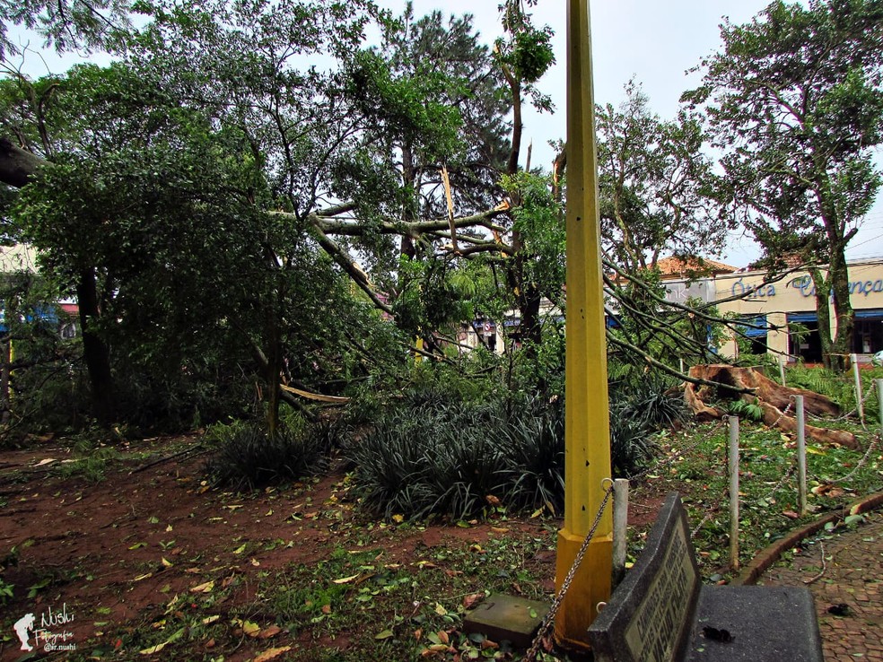 No dia seguinte ao temporal, cerca de 1,3 mil moradores ficam sem energia  elétrica em Itapira, Campinas e Região