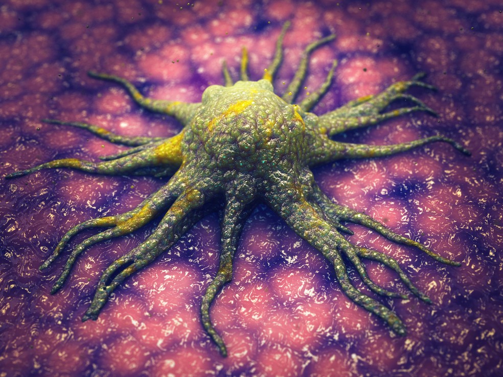 célula cancerígena — Foto: AdobeStock