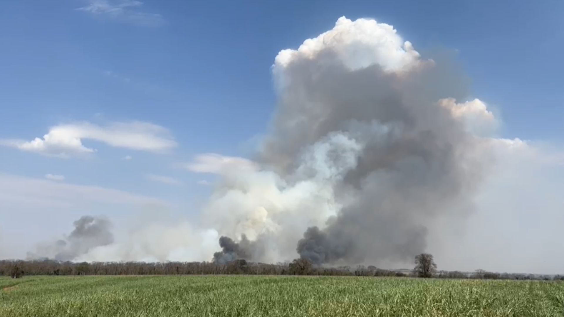 Incêndios causam interdição de rodovia e danos ambientais no noroeste de SP