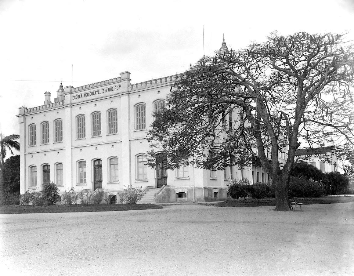 'Destruição exagerada das florestas': documento de 129 anos atrás revela alerta ambiental de patrono da USP de Piracicaba