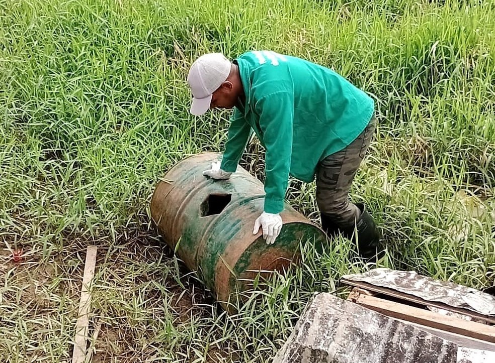 Casos de Febre do Oropouche no Amazonas &mdash; Foto: Divulga&ccedil;&atilde;o/FVS-RCP