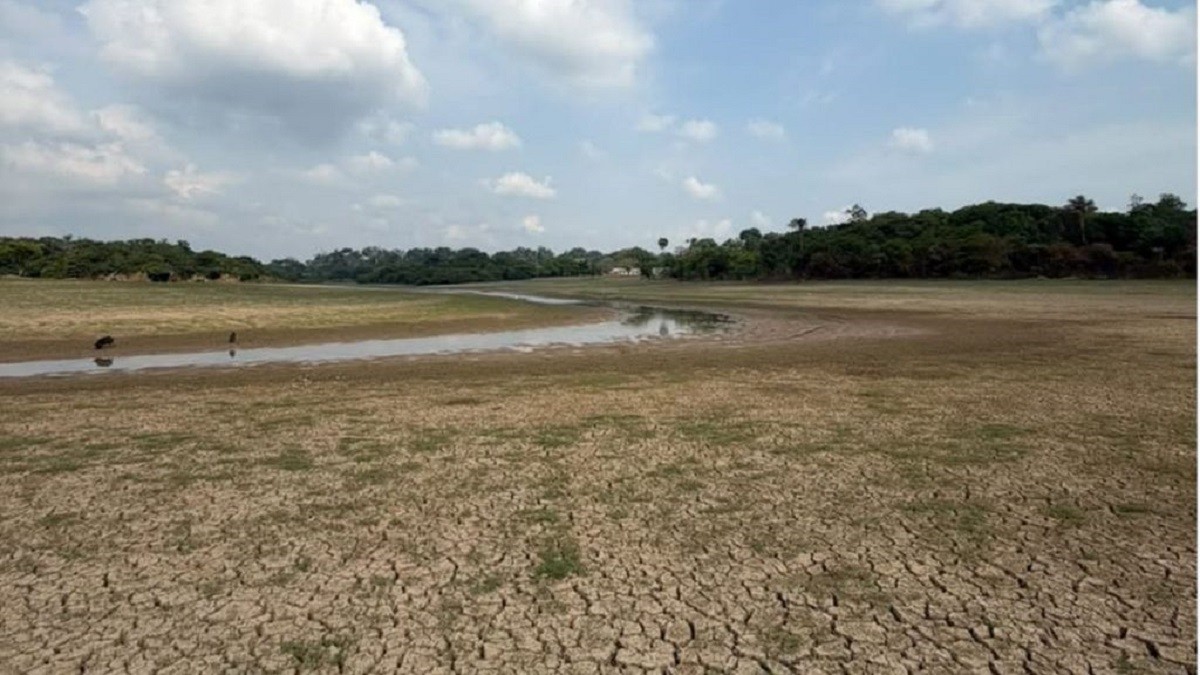 Seca isola comunidades e Oriximiná decreta situação de emergência por estiagem extrema