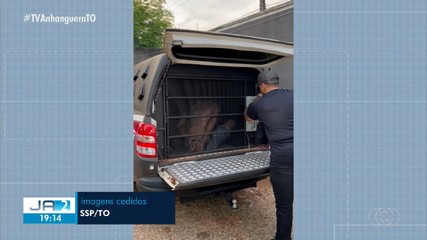 Foragido de dois estados é preso em Palmas