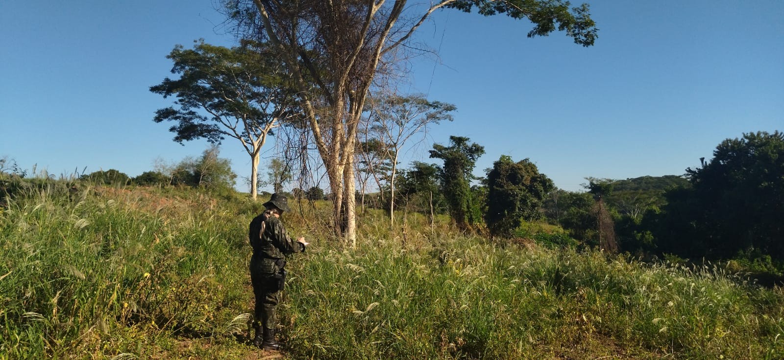 Sitiante leva multa de R$ 2 mil por desmatamento em área objeto de especial preservação em Pacaembu