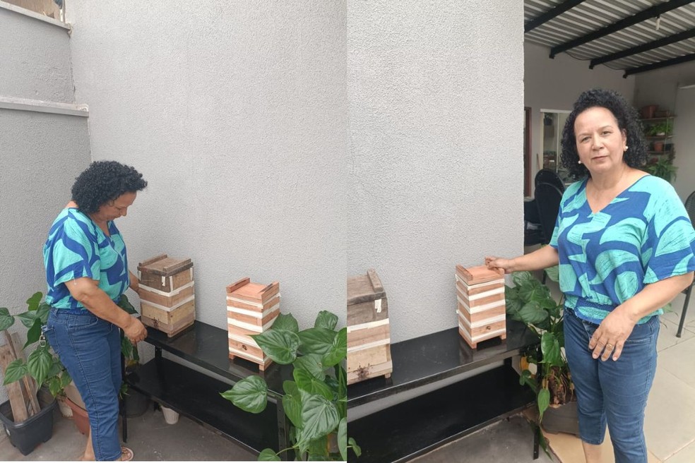 Soraia Santos de Liro Guirão, cuida de colmeias de abelhas Jataí e Mandaçaia. — Foto: Cedidas/ Soraia Santos
