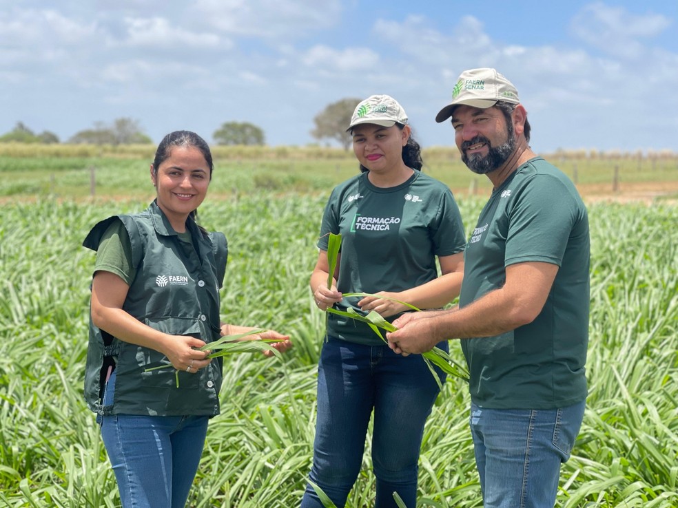 Senar abre inscrição para cursos no RN — Foto: Divulgação