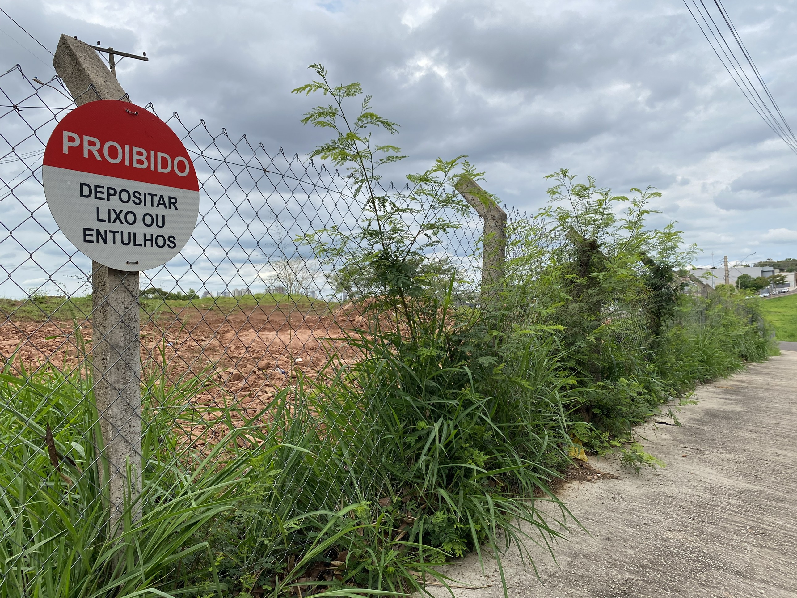 Paleontólogo fala sobre descobertas raras em terreno no interior de SP e vontade de voltar com escavações