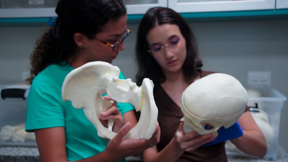 3 de 4
Estudantes com unidades de ossos sint&eacute;ticos da primeira biblioteca de ossos humanos do mundo &mdash; Foto: Unoeste/Divulga&ccedil;&atilde;o