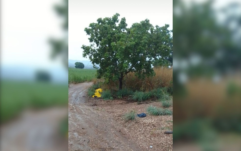 Raio mata dois funcionários de usina e deixa outros três feridos em Goiás — Foto: Divulgação/Corpo de Bombeiros