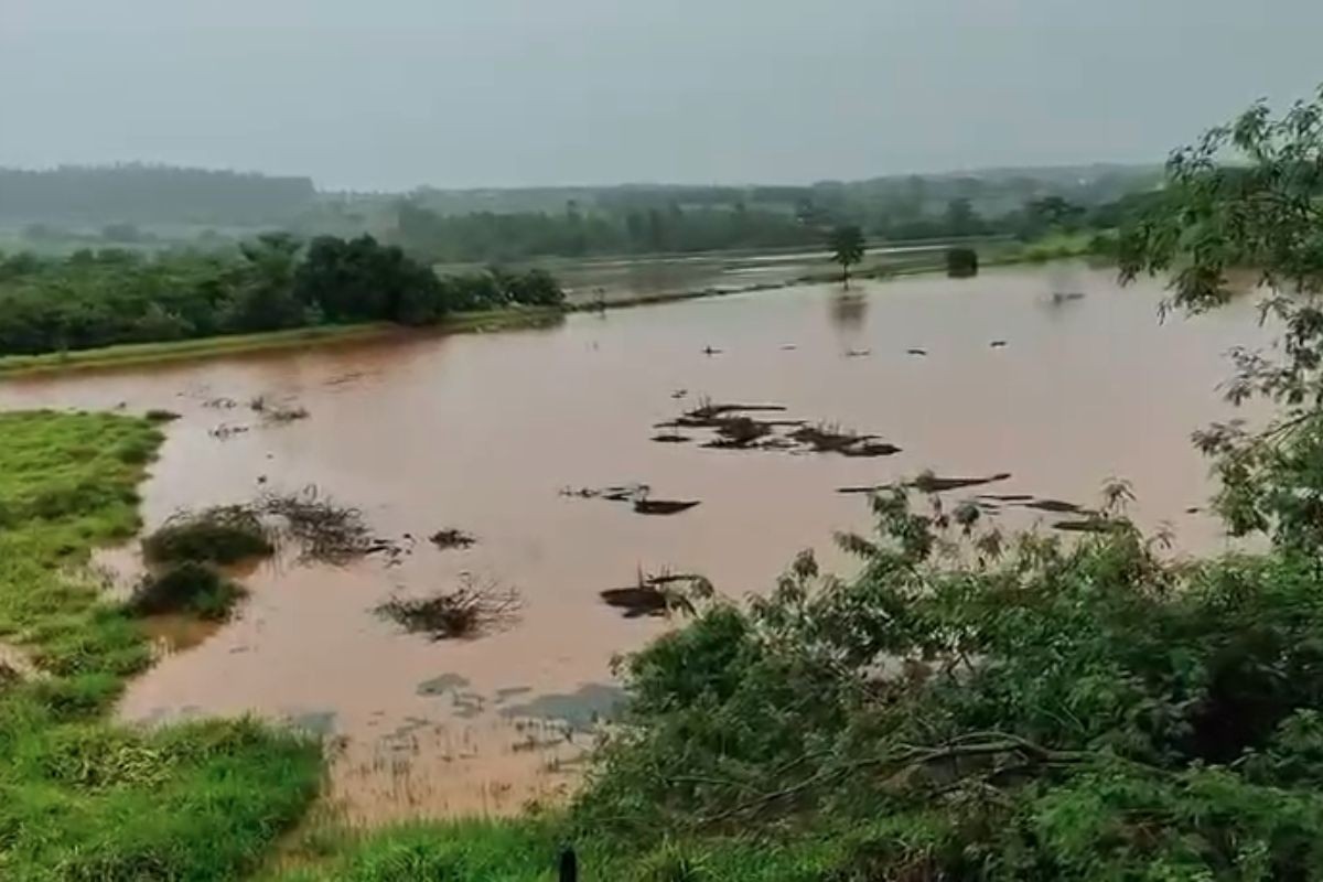 Barragem de ribeirão transborda e água destrói pontes e interdita rodovia, no PR