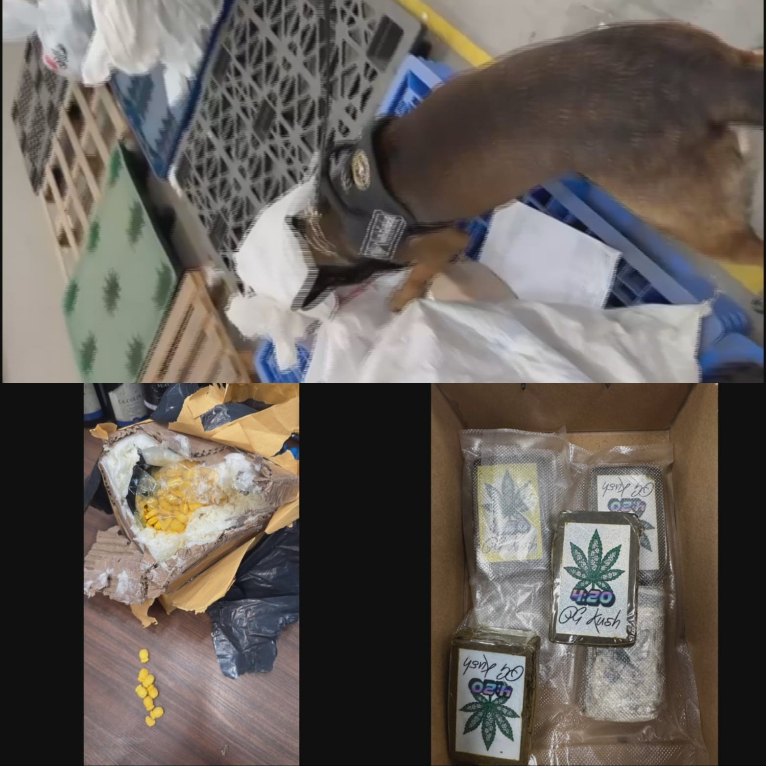 Polícia desmantela esquema de tráfico de drogas em BH