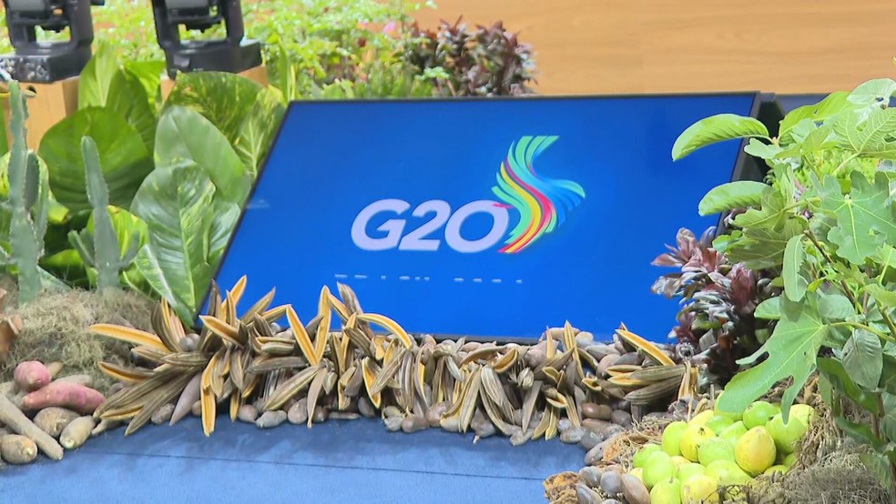 G20: agrofloresta usada para decorar mesa de discussões de chefes de Estado foi criada por mulheres do Morro da Providência — Foto: Reprodução/TV Globo
