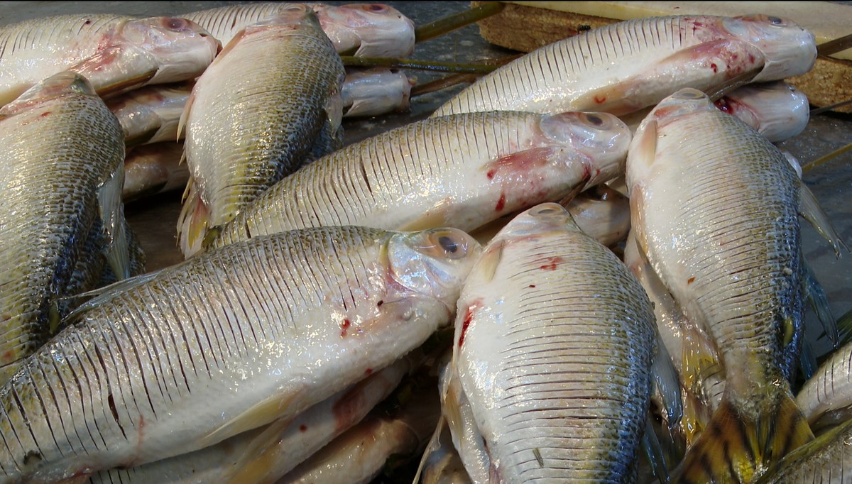 Pesca de 2 jogadores: Fogo e Água em COQUINHOS