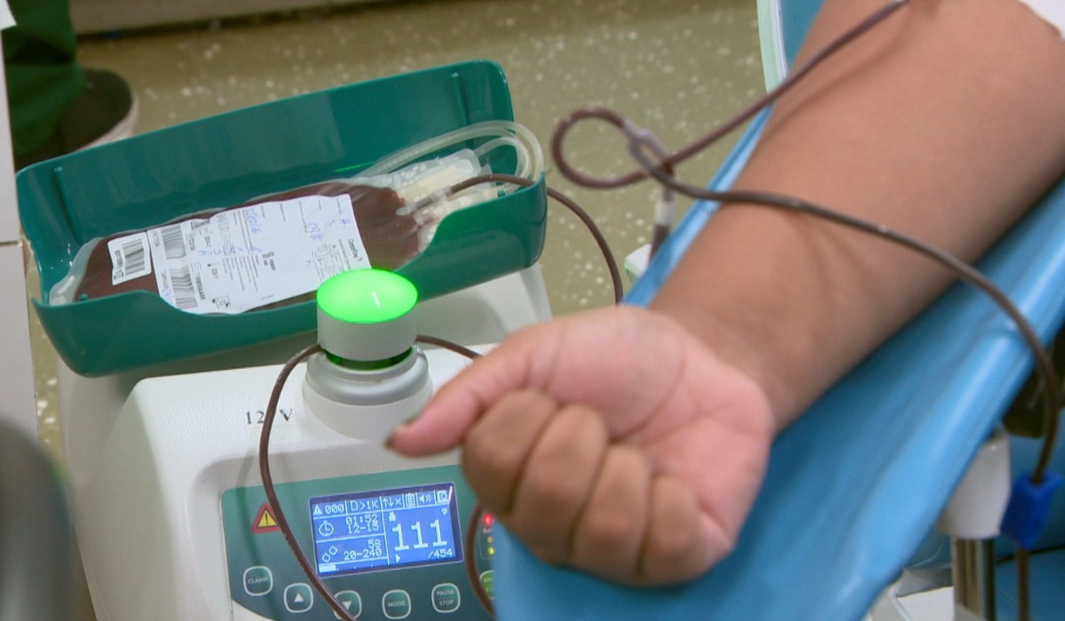 Caminho do sangue: entenda o processo desde a doação no Amazonas