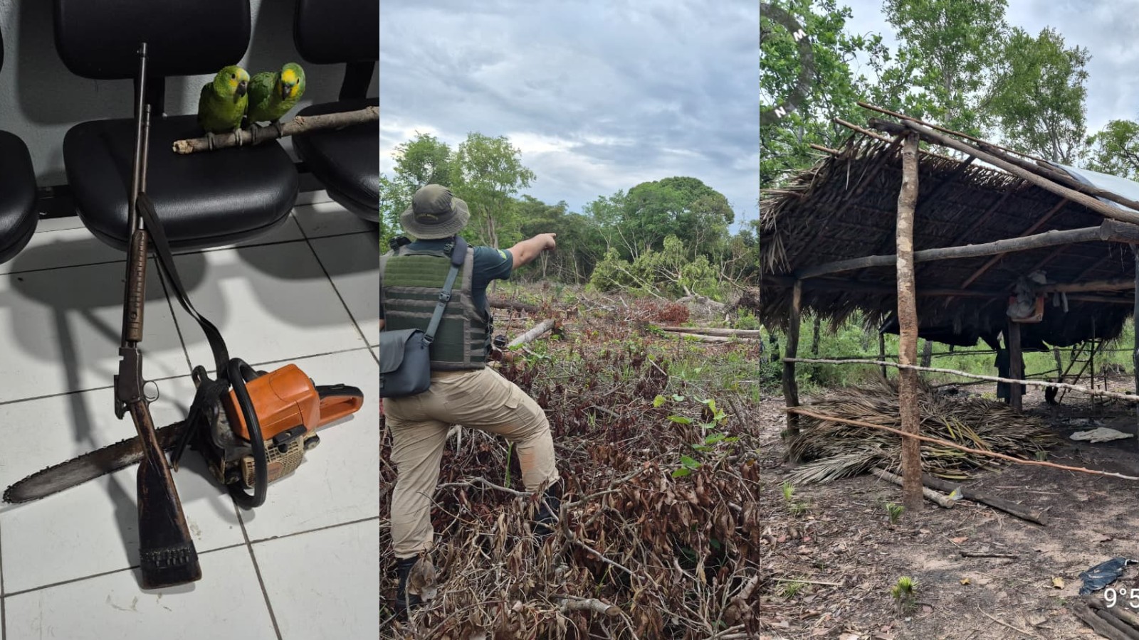 Fiscalização flagra desmatamento em área de preservação no Piauí