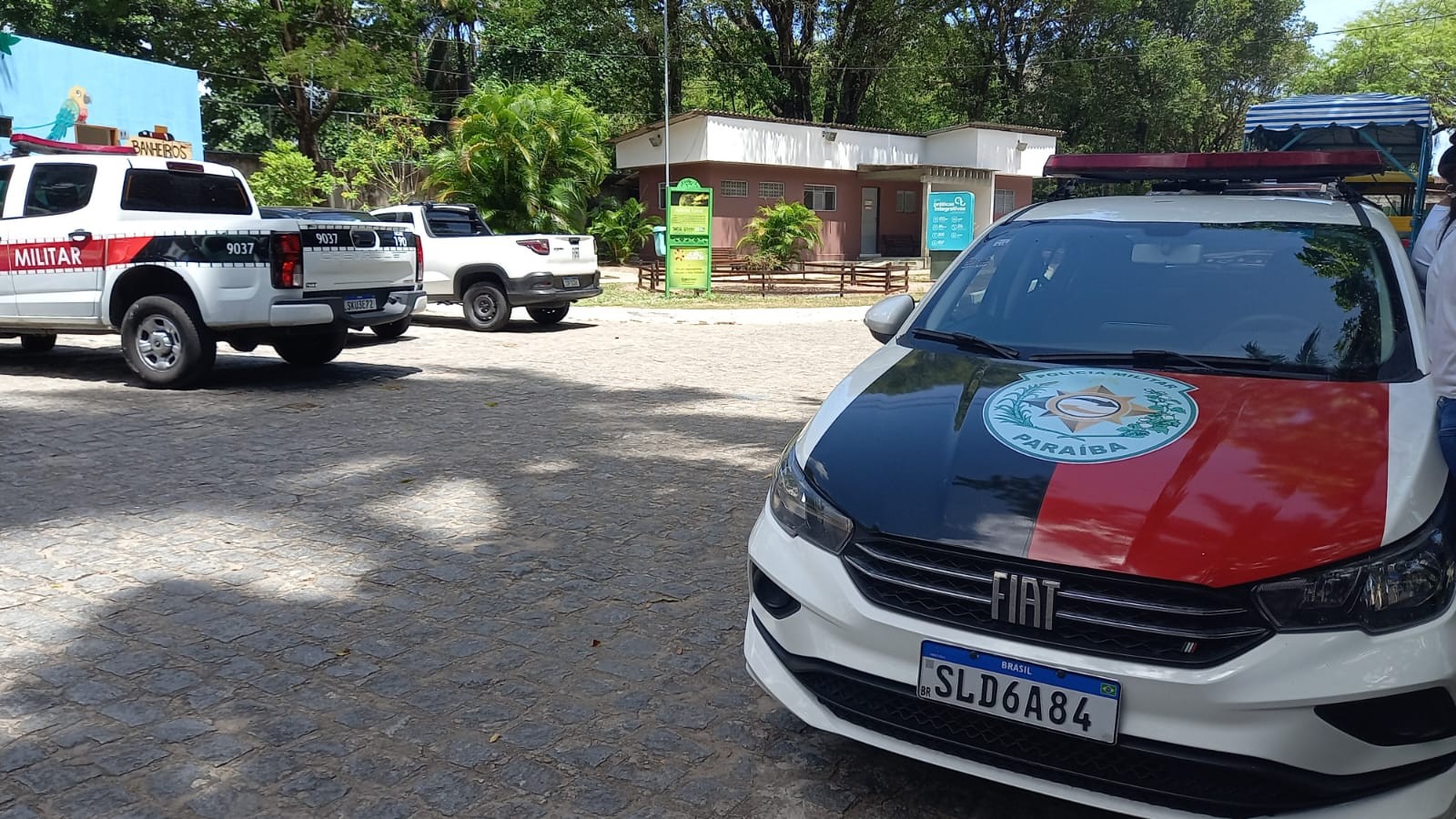 O que se sabe sobre o caso do homem que entrou na jaula de leoa, foi atacado e morreu em zoológico de João Pessoa