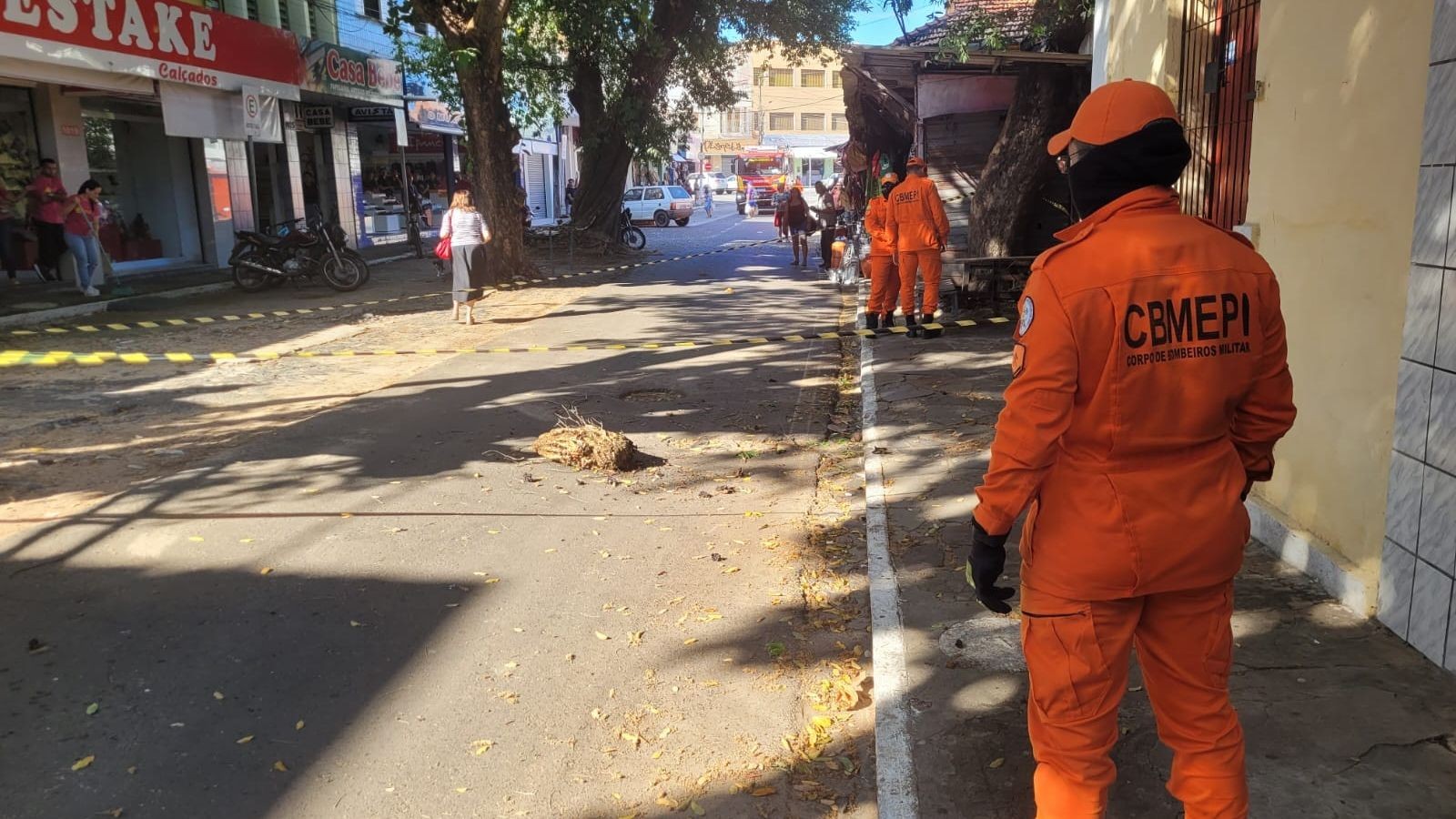 Colmeia de abelhas cai e deixa rua interditada por horas no litoral do PI