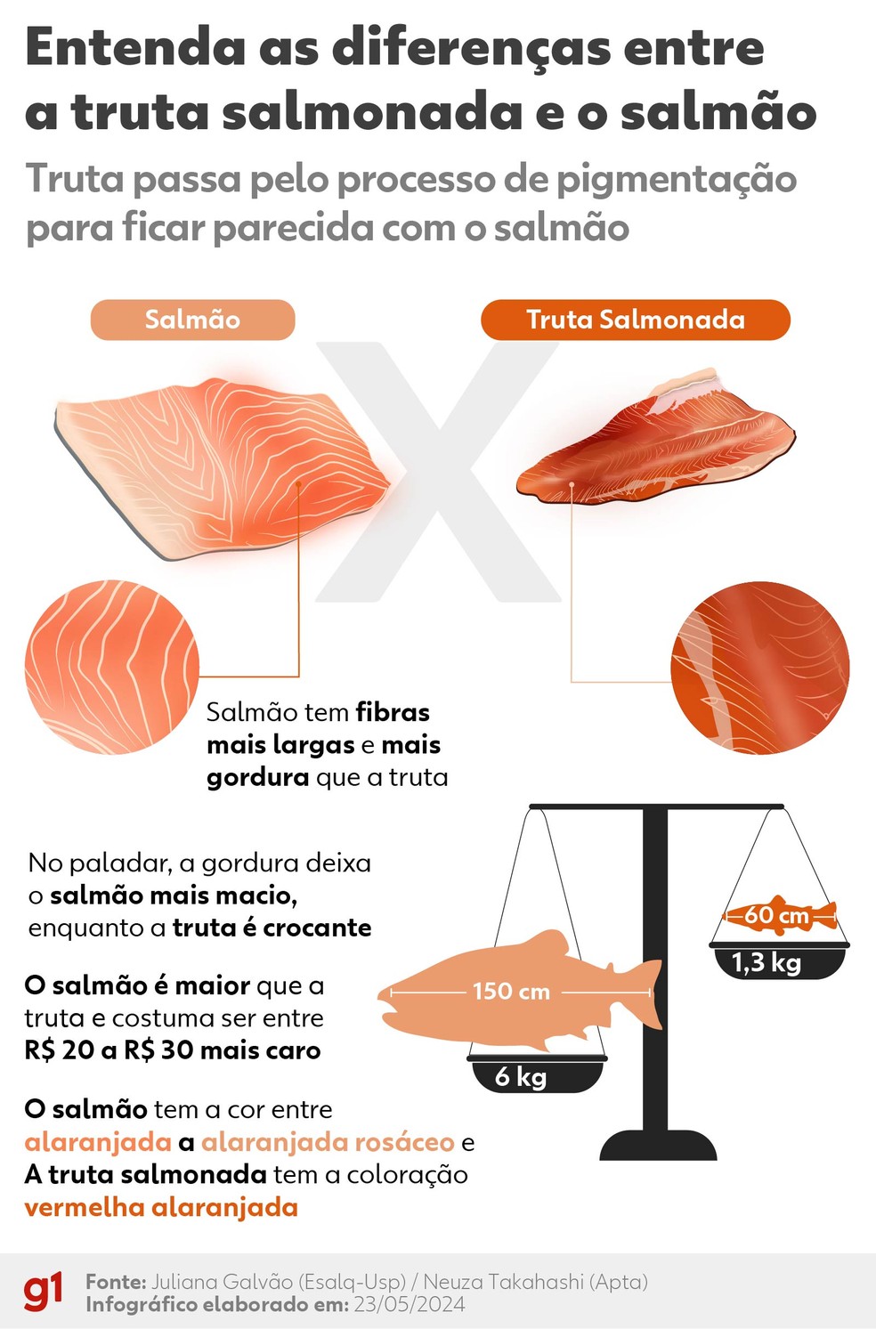 Entenda as diferenças entre a truta salmonada e o salmão — Foto: Wagner Magalhaes / Dhara Assis / g1
