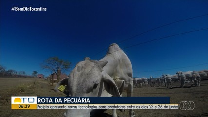 Projeto apresenta novas tecnologias para pecuaristas do Tocantins