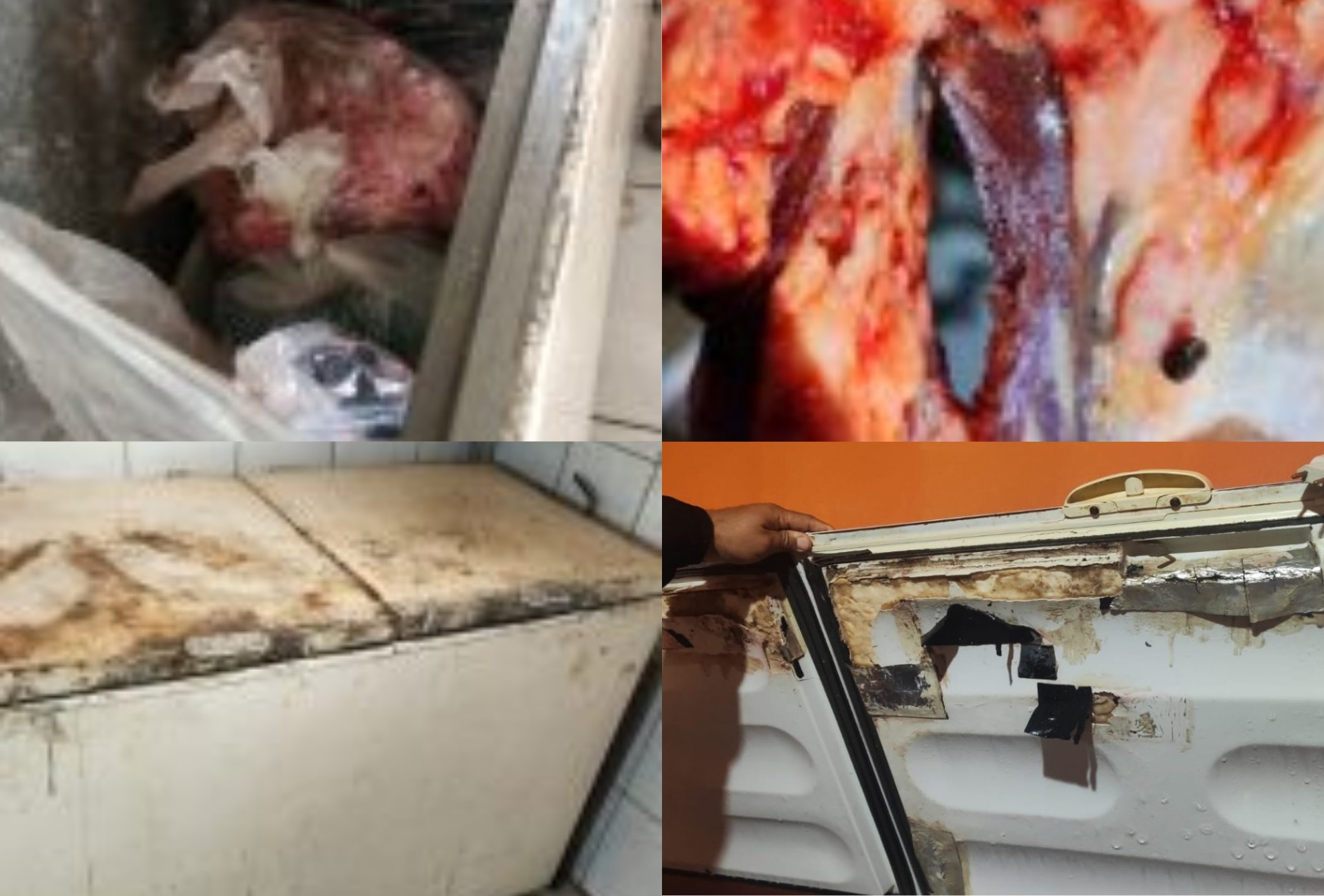 Quase 1 tonelada: fiscalização encontra carnes sem selo e risco de contaminação em comércio de MS