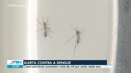 Tocantins registra expressivo aumento de casos de dengue e confirma cinco mortes