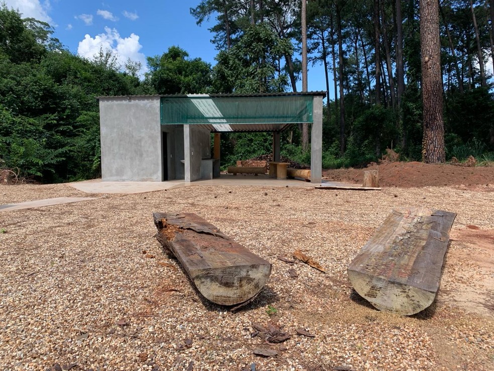 Local terá capacidade para produção de até 1 milhão de mudas por ano em Pederneiras — Foto: Divulgação