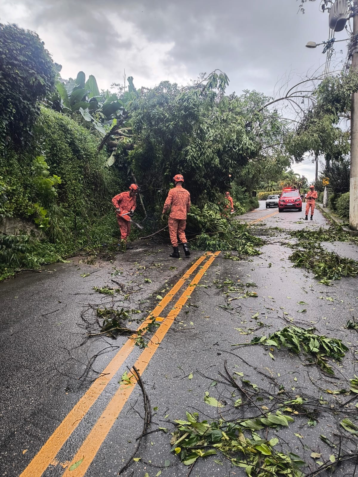 Temporal atinge Nova Friburgo com deslizamento, enxurradas e queda de árvore