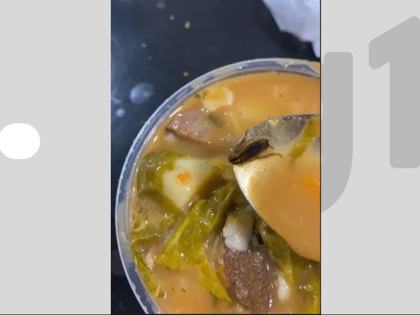VÍDEO: Mãe acha barata dentro de sopa que comprou pro jantar da filha de 2 anos no Acre