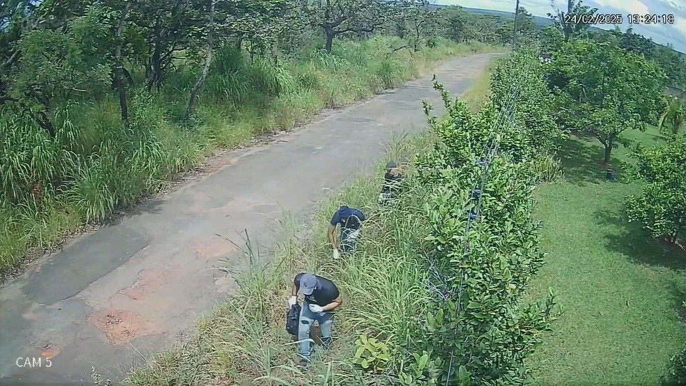 Suspeitos passavam por área de mata para invadir casas no DF — Foto: Reprodução