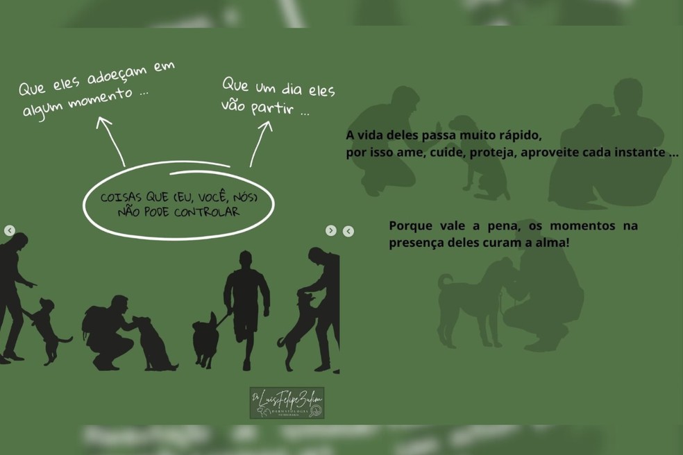 Veterinário compartilha dicas para proporcionar qualidade de vida aos pets; veja parte 2 mais abaixo — Foto: Reprodução/Redes Sociais