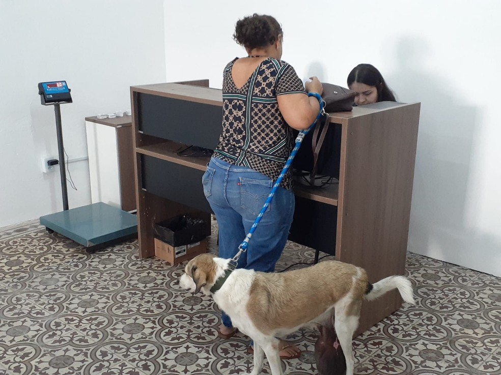 Hospital público veterinário foi inaugurado em Natal — Foto: Pedro Trindade/Inter TV Cabugi