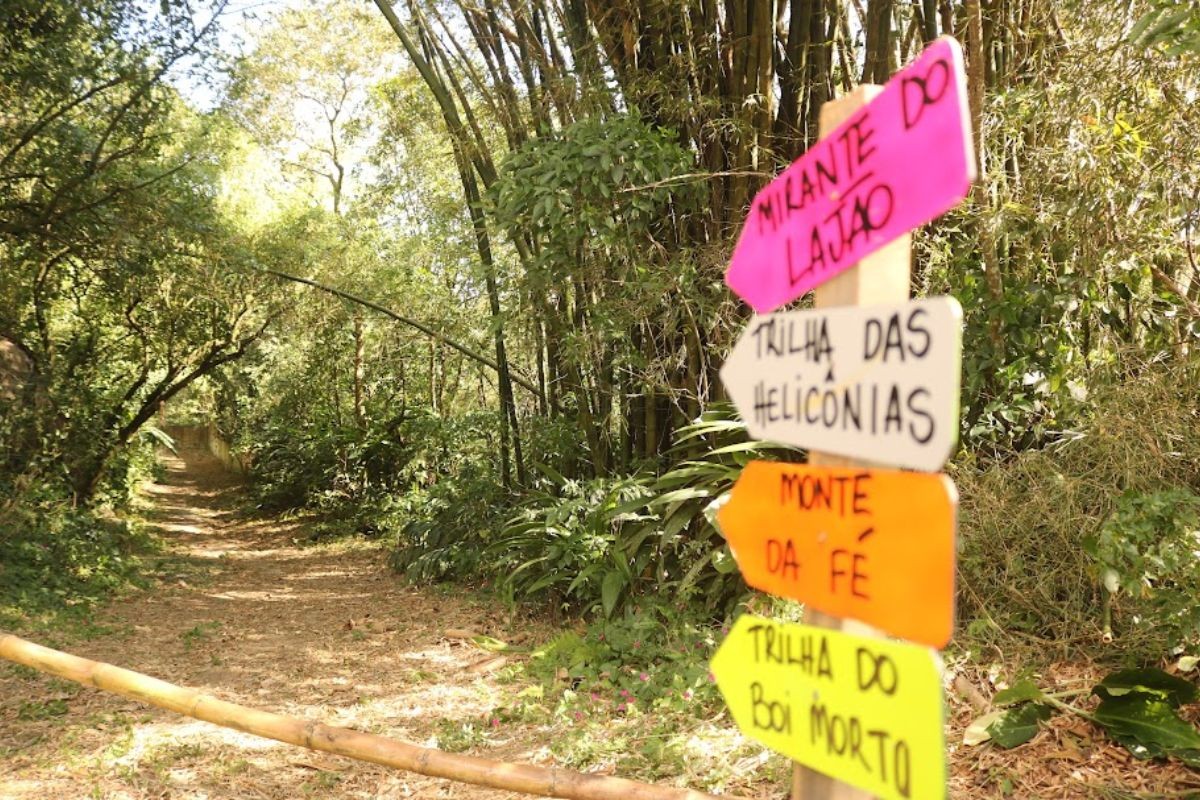 Parque dos Morros, o maior de Santos, é criado para preservação e regeneração ambiental