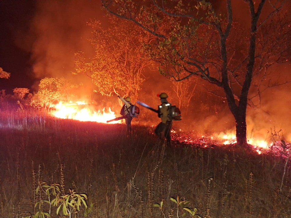 Com mais de 10 mil queimadas, Amazonas tem pior mês de agosto dos últimos 26 anos. — Foto: Divulgação/Ibama