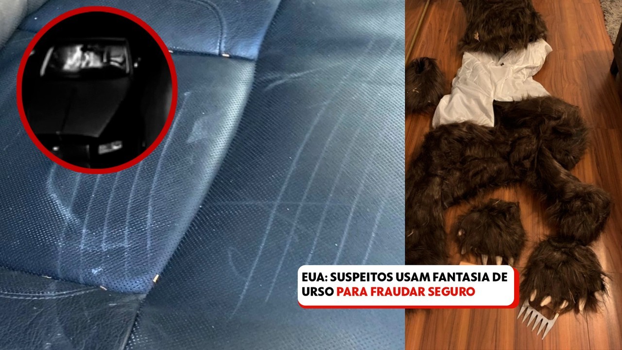 Grupo é preso nos EUA após usar fantasia de urso para tentar fraudar seguradoras de veículos