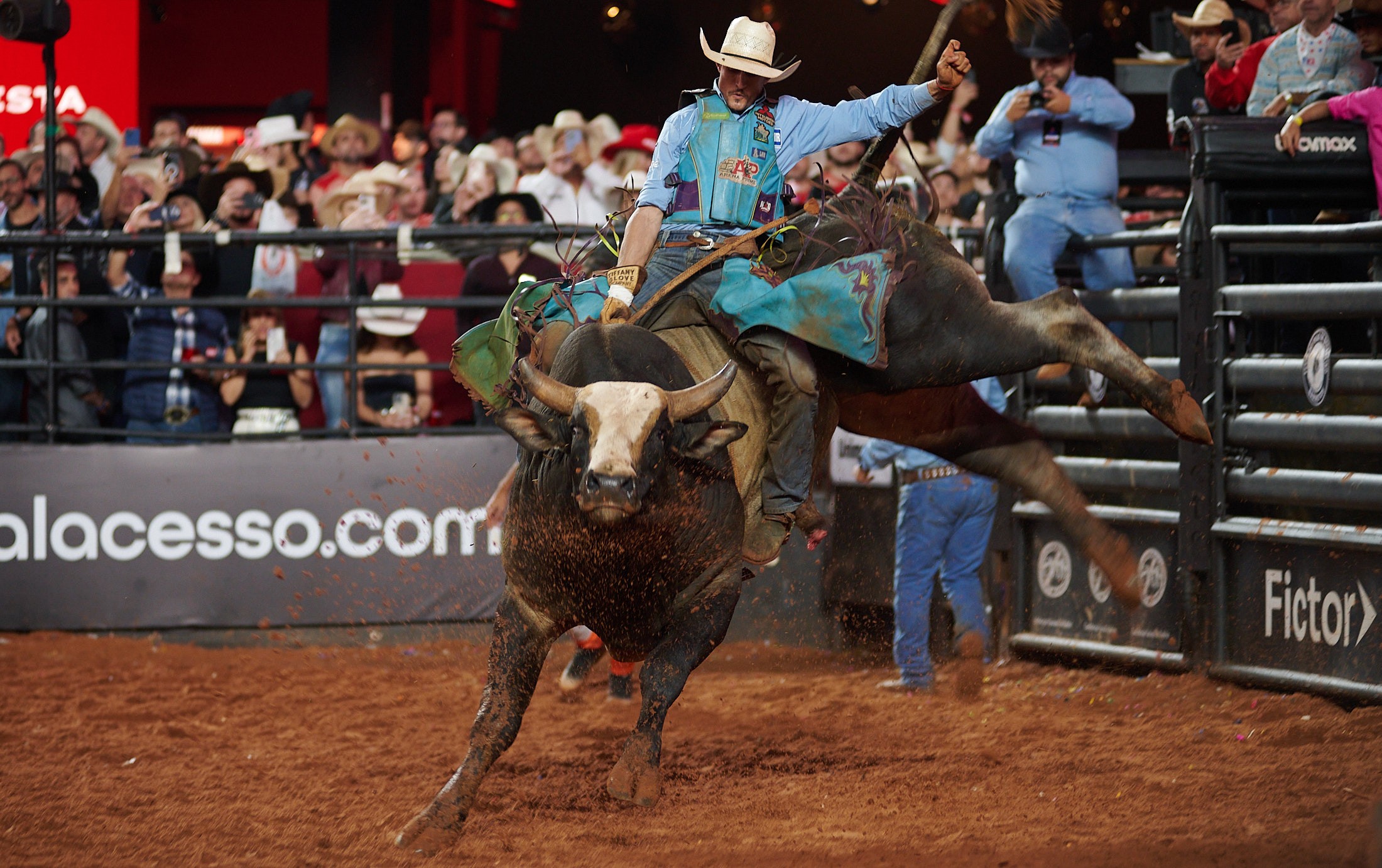 Justiça derruba liminar, encerra processo e retoma proibição de uso de animais em rodeios em Campinas