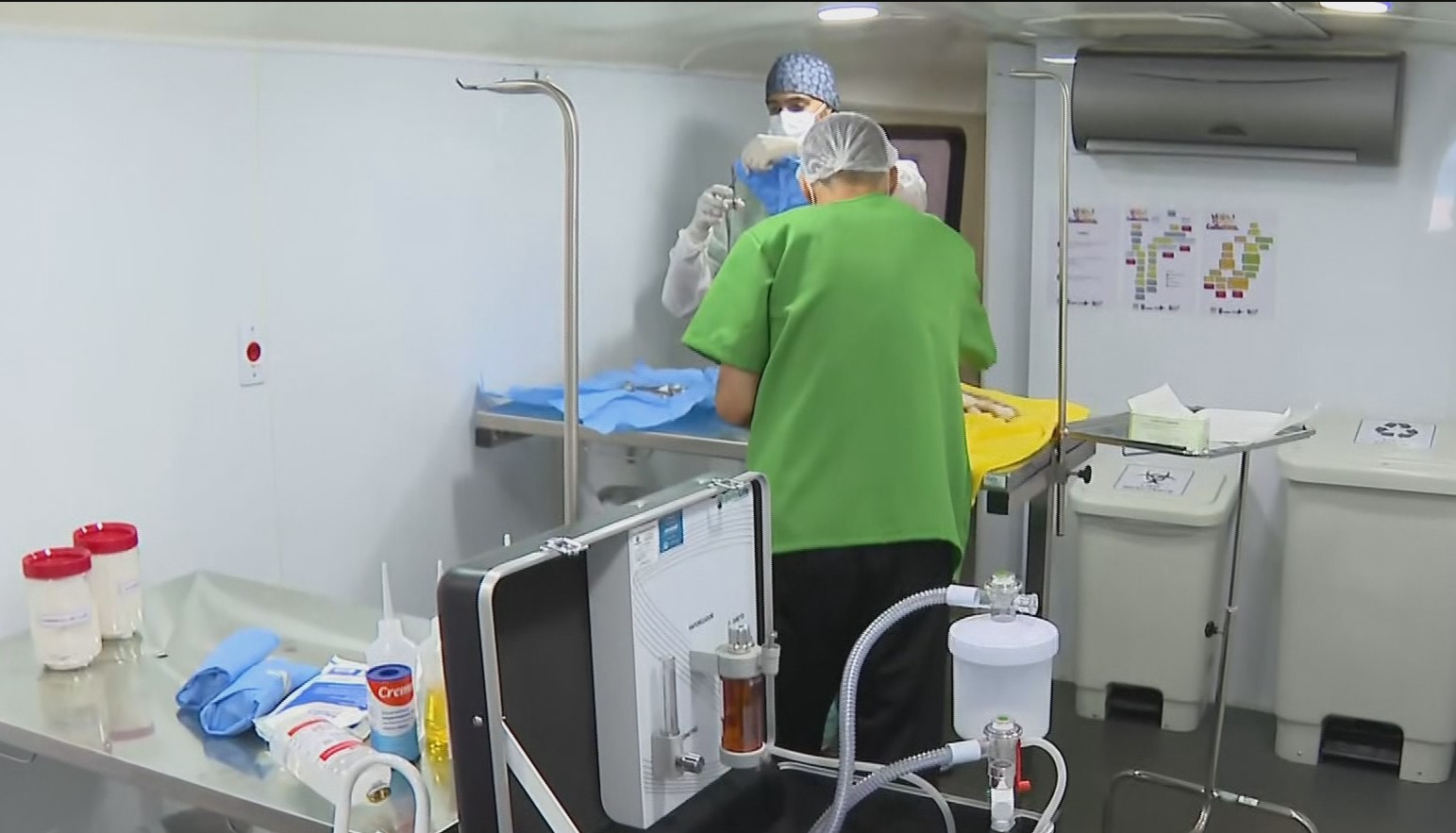 Começam as inscrições para castração gratuita de cães e gatos, nesta segunda-feira, em Contagem