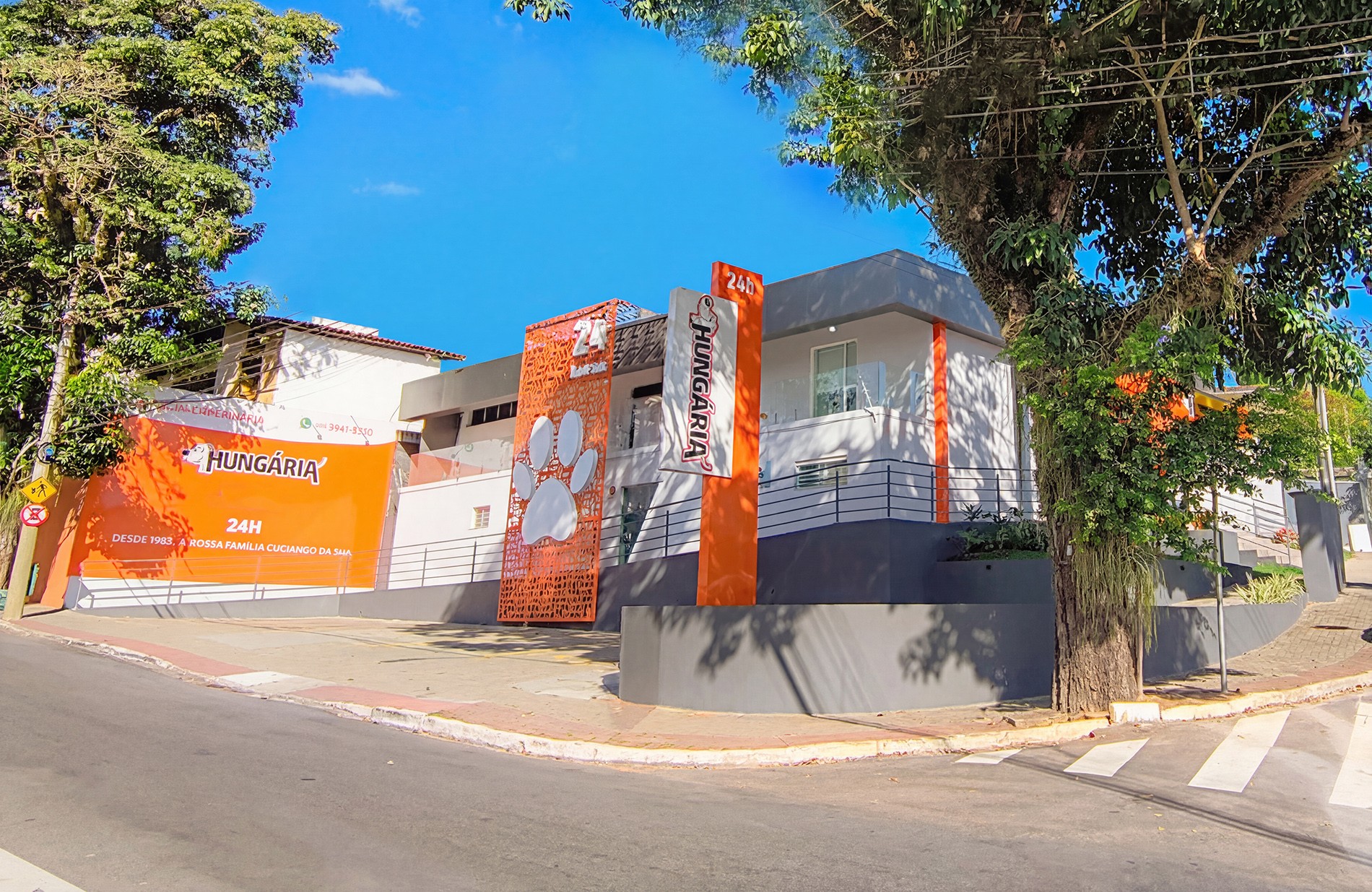 Mercado pet cresce e eleva padrão do atendimento veterinário