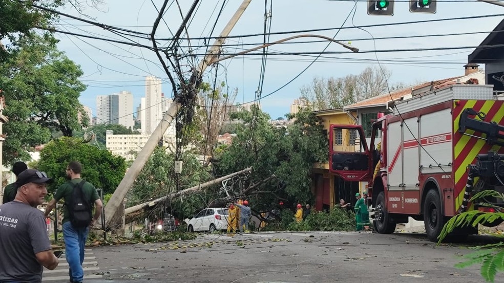 Árvore e poste caíram em via de Piracicaba — Foto: Arquivo pessoal