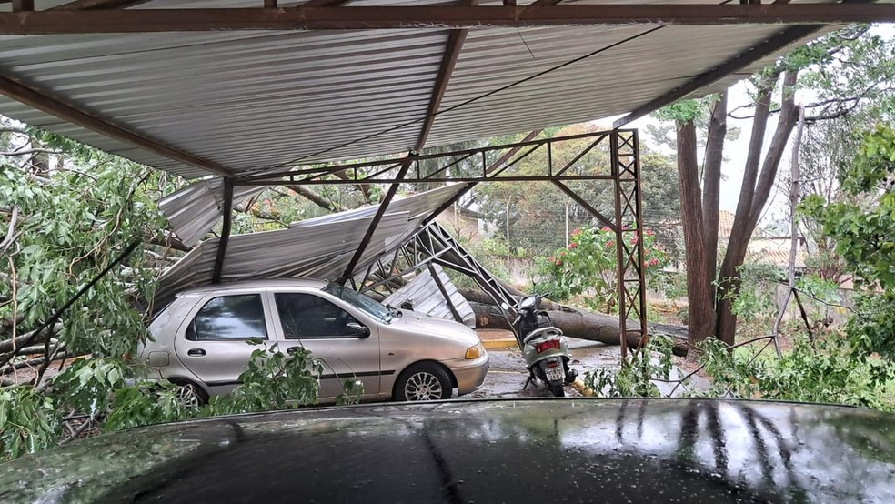1 de 1
&Aacute;rvores ca&iacute;ram em Mar&iacute;lia durante a tempestade &mdash; Foto: Arquivo pessoal