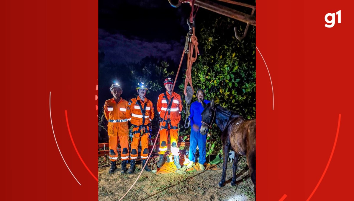 Mula cai em cisterna desativada e é resgatada pelos bombeiros na zona rural de São Francisco