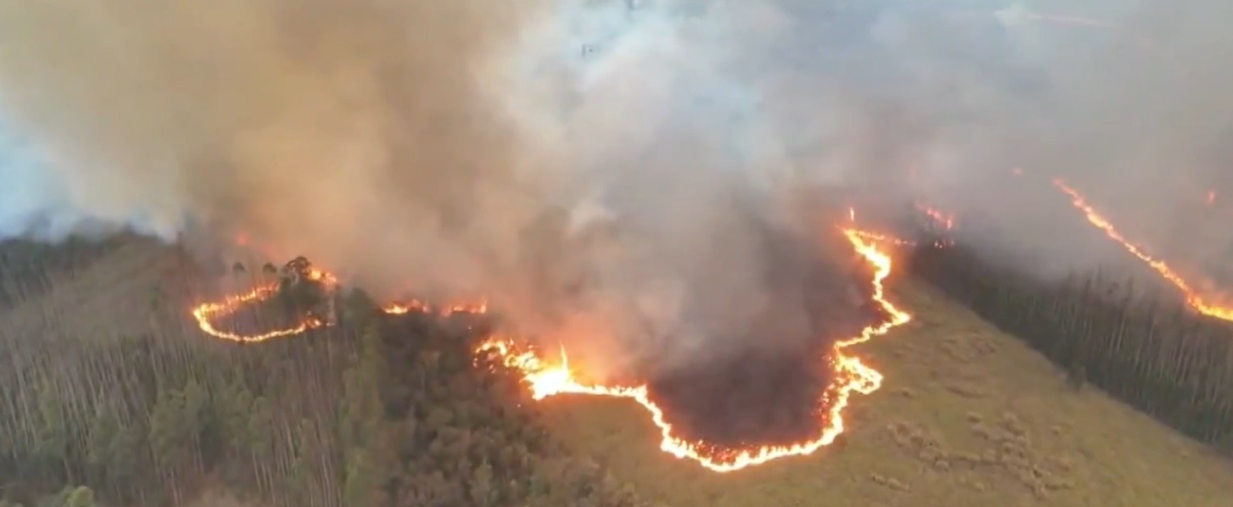 Incêndio queima 450 hectares de vegetação em Elias Fausto, fecha rodovia e moradores deixam casas