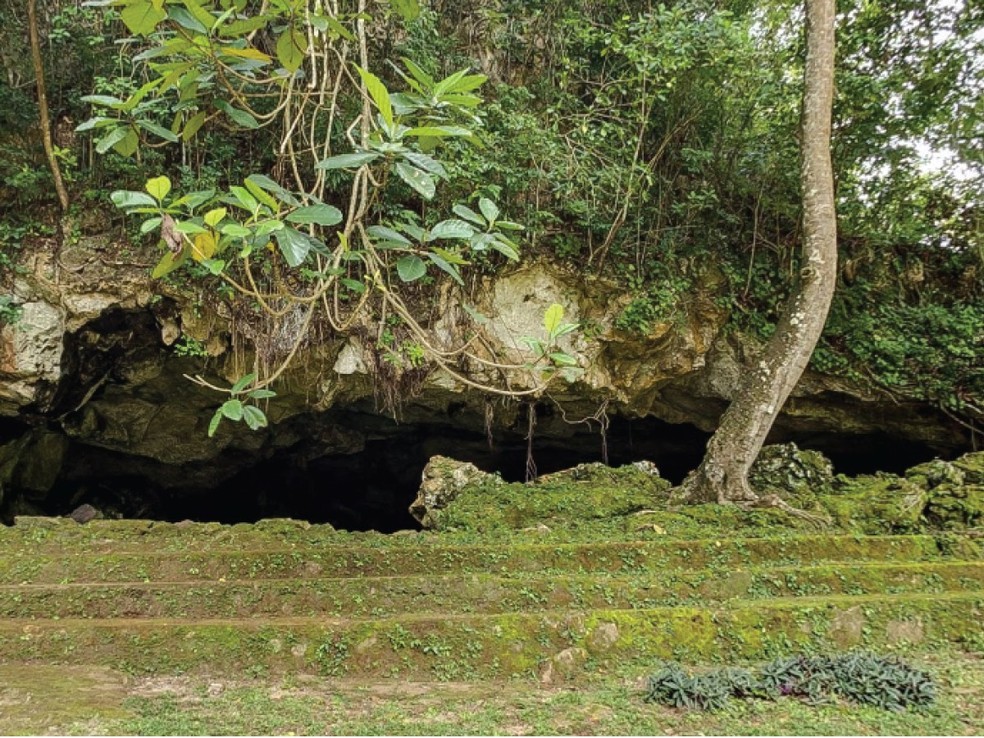 Entrada da caverna em Muna, na ilha de Sulawesi, na Indonésia. — Foto: Ratno Sardi